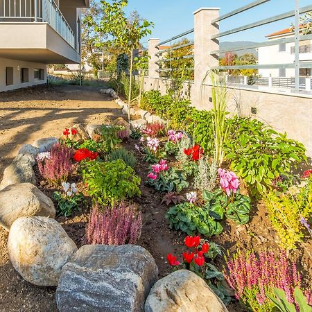 Aura Luxury Suites - Olympiada Seaside Getaways Εξωτερικό φωτογραφία